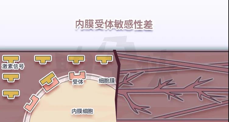 20210707164636.jpg 20210707164636.jpg