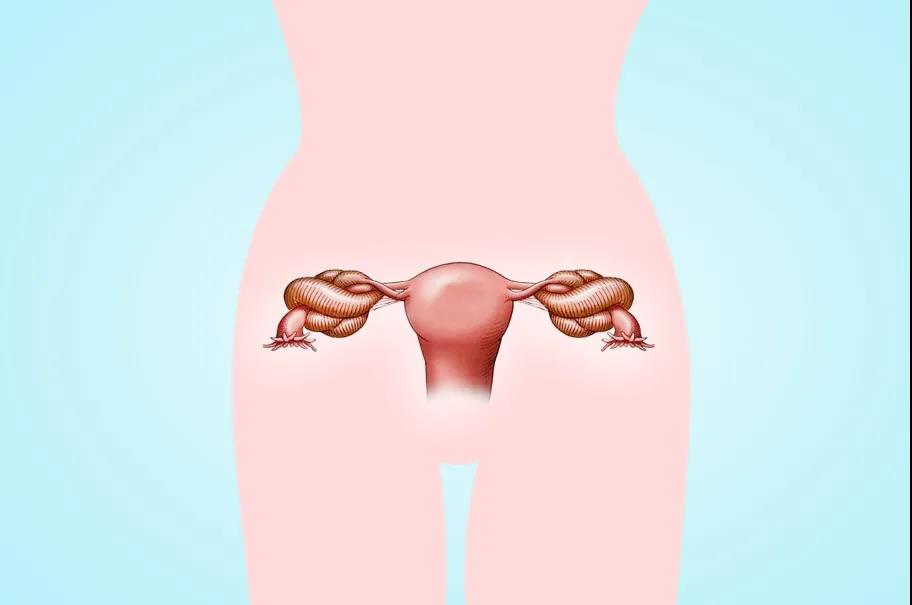 20210701172944.jpg 20210701172944.jpg