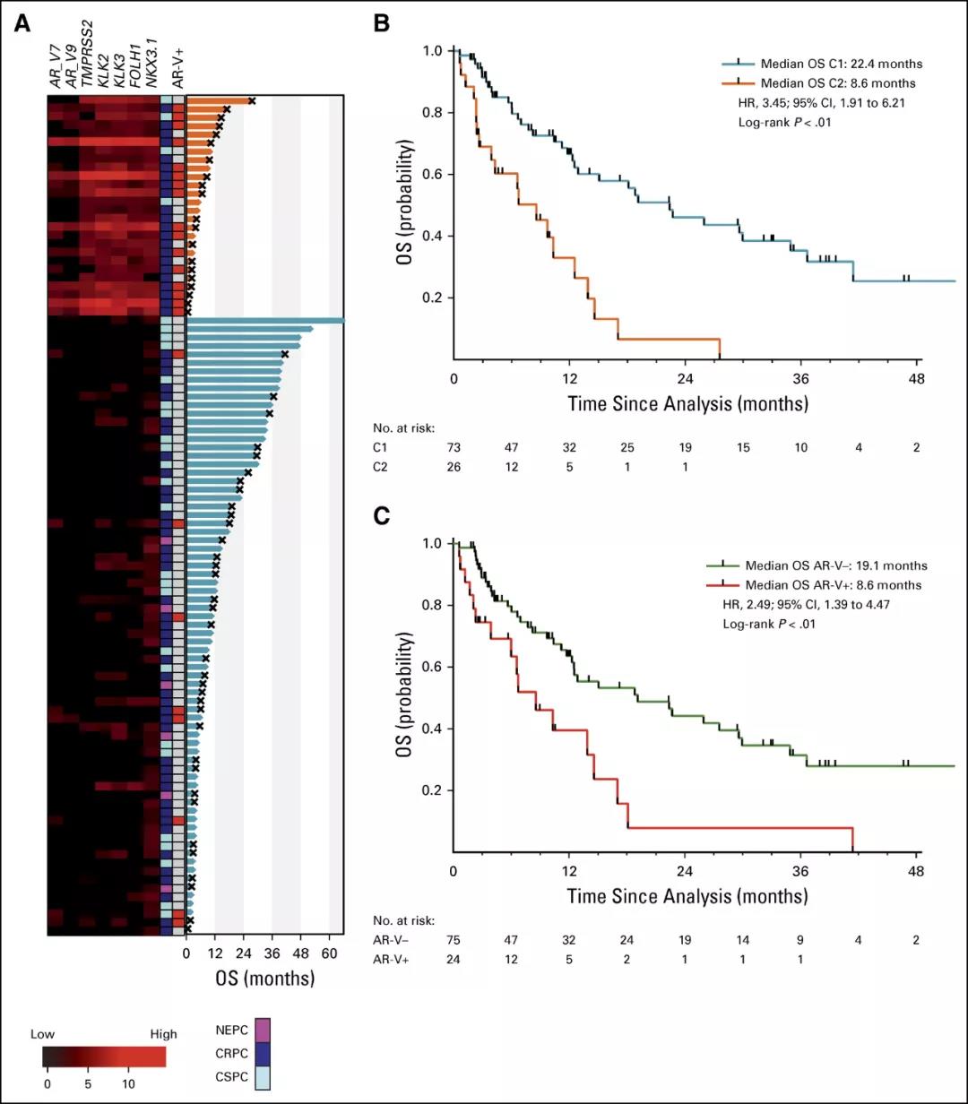 20210711131217.jpg 20210711131217.jpg