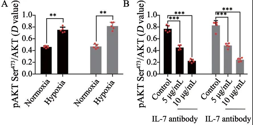 20210702172211.jpg 20210702172211.jpg
