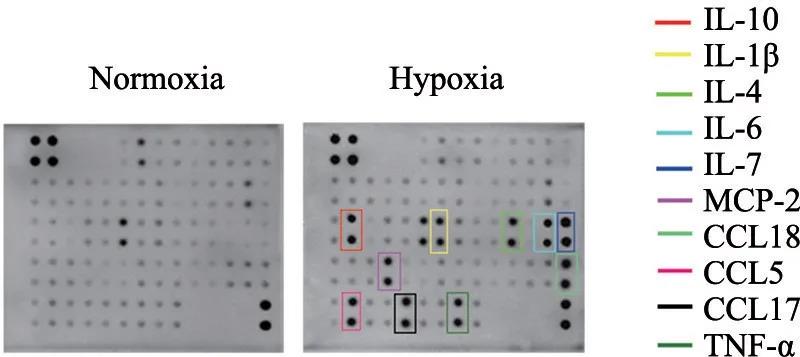 20210702172112.jpg 20210702172112.jpg