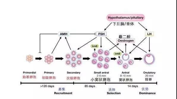 20210703171229.jpg 20210703171229.jpg