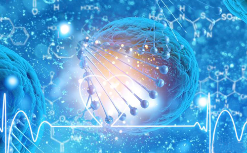 什么是受精卵着床