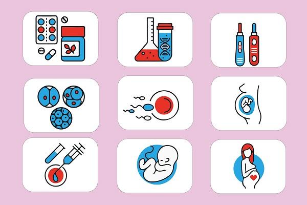 缺乏维生素D对怀孕的影响