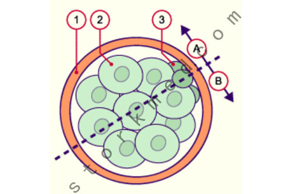 93dc1c24aa8e155503798e22bc3e417d.png 93dc1c24aa8e155503798e22bc3e417d.png