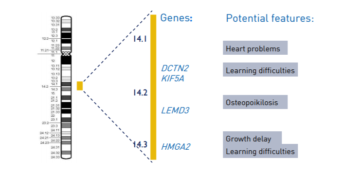 12q14微缺失综合征