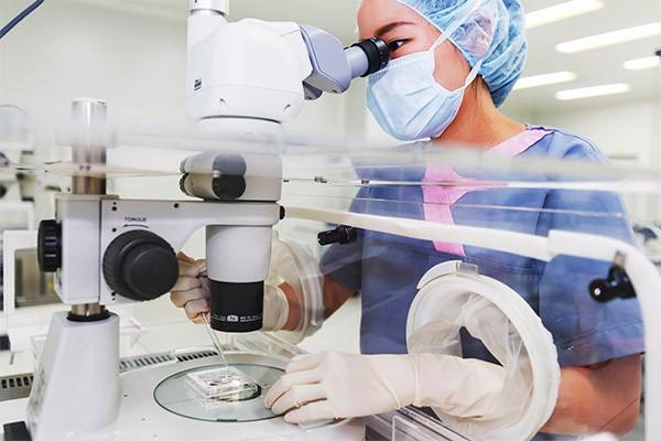 关于试管婴儿治疗中的6个事实