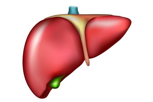 63118451df19e9be6303dcae2dbb9bf4.jpg 63118451df19e9be6303dcae2dbb9bf4.jpg