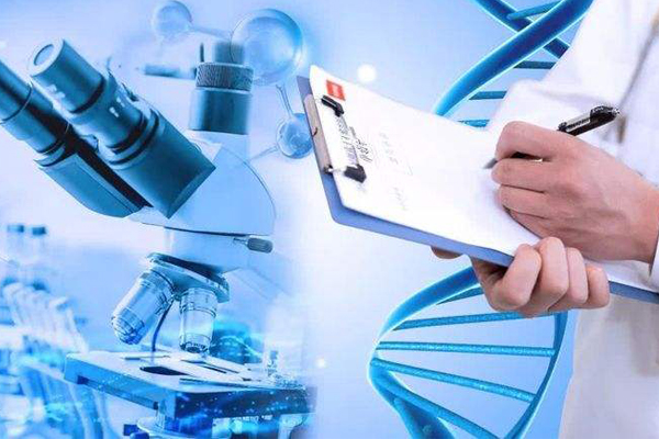 做试管婴儿要多少钱-试管婴儿花费明细表