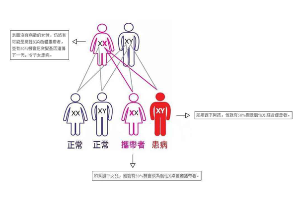 试管婴儿可以阻断脆性X综合征么？