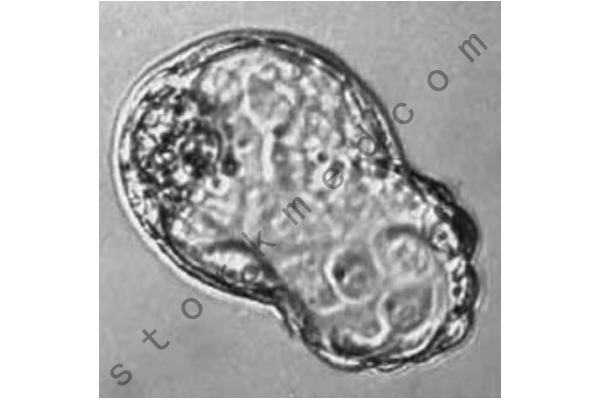 1e130706bd7bcf330e465afecf82c025.png 1e130706bd7bcf330e465afecf82c025.png