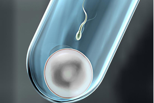 现代中医有关试管婴儿临床研究