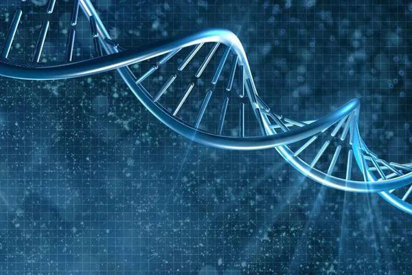 PGD技术与试管婴儿治疗