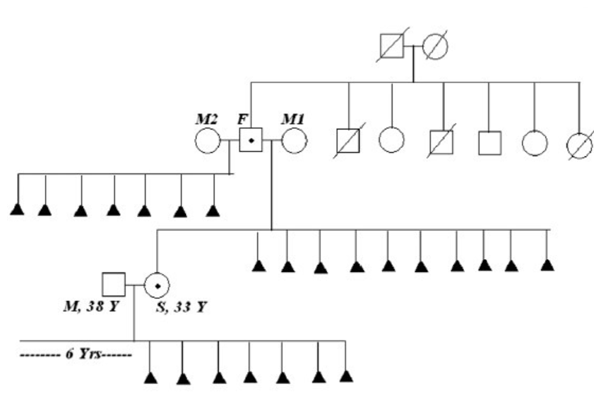 父亲的表型正常，女儿的平衡同源染色体易位