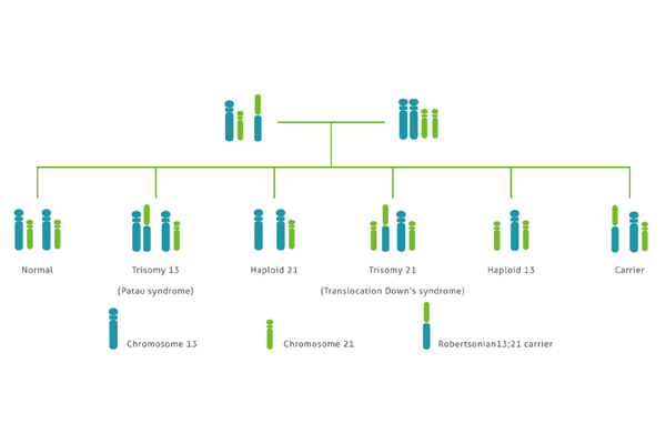 922a2cf31982ad5f29fb5657f68c45e8.png 922a2cf31982ad5f29fb5657f68c45e8.png