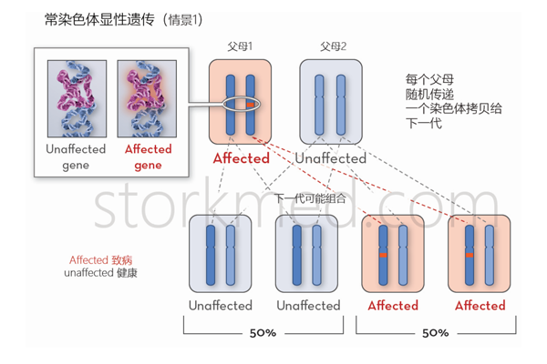 0c9bae54cc562eb0e1ab0d7eca708aa1.png 0c9bae54cc562eb0e1ab0d7eca708aa1.png