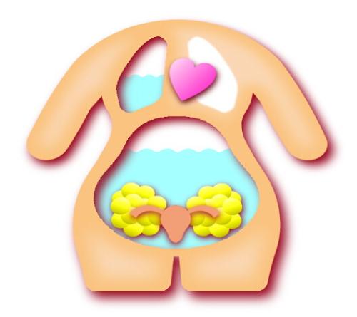 卵巢过度刺激综合征 卵巢过度刺激综合征