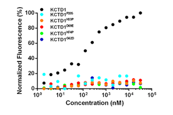 KCTD1基因对于备孕的影响