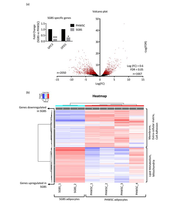 1d63692412be5bc67a3e2fb0ace612e0.png 1d63692412be5bc67a3e2fb0ace612e0.png