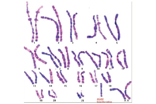 22f368f032ef4ad30ab831d11fe10cca.png 22f368f032ef4ad30ab831d11fe10cca.png