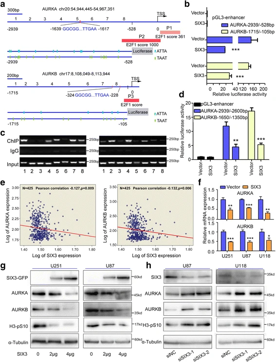 4ebda477c7c9496f3a218acc9cf7e058.png 4ebda477c7c9496f3a218acc9cf7e058.png