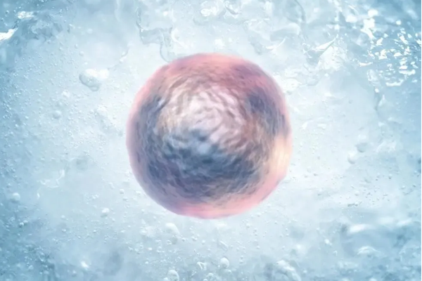 如何为试管婴儿做好身心准备