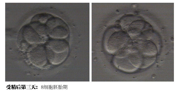 c21c39e64485fa9c64761aa89b8a8c83.jpg c21c39e64485fa9c64761aa89b8a8c83.jpg