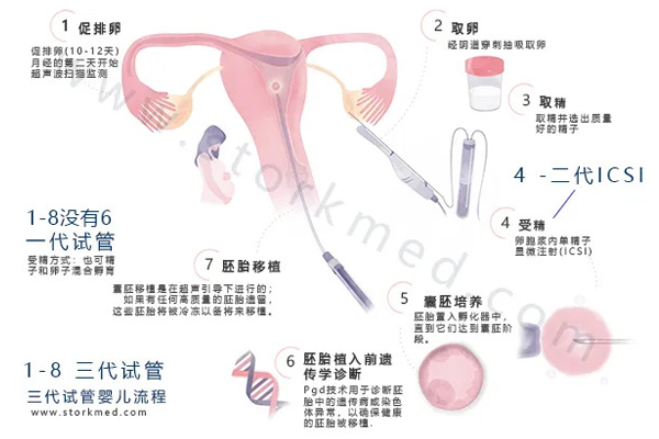 如何孕育一个健康宝宝？