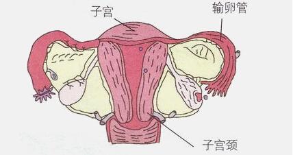 44067dfb291b054c24c6878983bd34ad.jpg 44067dfb291b054c24c6878983bd34ad.jpg