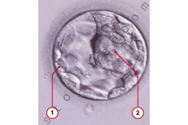 f9e09a4f286b1912c70694874bcfe0d2.png f9e09a4f286b1912c70694874bcfe0d2.png