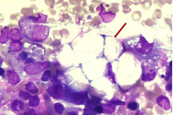 d841561955c1fdd76618b32fa85064db.png d841561955c1fdd76618b32fa85064db.png