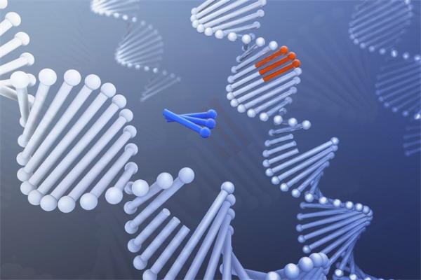 f0e21f77c8c7b2cd2c4d9bed40c7a2ac.jpg f0e21f77c8c7b2cd2c4d9bed40c7a2ac.jpg