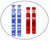 399540a9e846840003199bfbbcdceb0d.png 399540a9e846840003199bfbbcdceb0d.png