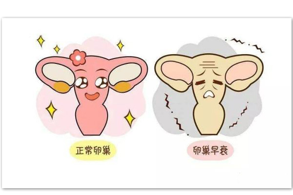 51b92368ffd697f55feb635b94fbf029.jpg 51b92368ffd697f55feb635b94fbf029.jpg