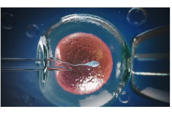 c7414f39dc6f40726e0e32d31ebbd284.png c7414f39dc6f40726e0e32d31ebbd284.png