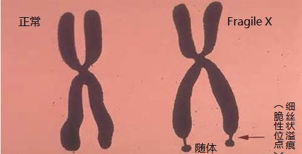 8d2101de27b464f30afd350eca434c75.jpg 8d2101de27b464f30afd350eca434c75.jpg