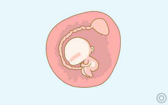 胎儿的心跳停止
