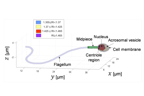 c660b1cab707fd532cc269d7aa308900.png c660b1cab707fd532cc269d7aa308900.png