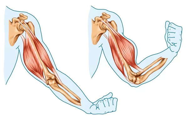 肌肉中央轴空病
