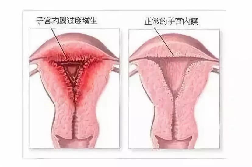 7a1f5695949fa8a537b9d11572a31586.jpg 7a1f5695949fa8a537b9d11572a31586.jpg