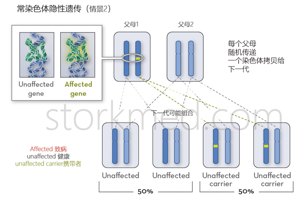 维生素D依赖性佝偻病