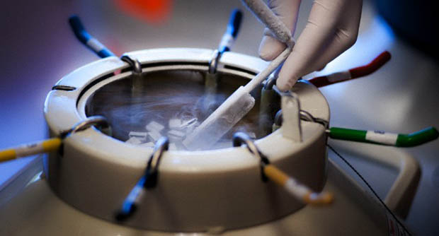 新鲜最好？冷冻胚胎成功率优于新鲜胚胎