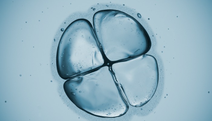 88661ec691b67d03bb5938cc2bb00970.jpg 88661ec691b67d03bb5938cc2bb00970.jpg