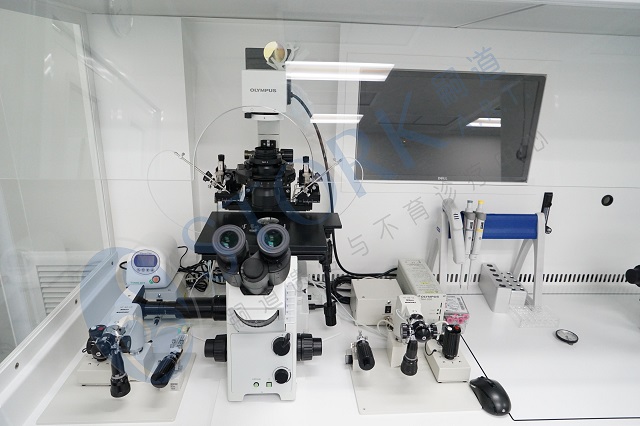 做试管婴儿前要做哪些检查