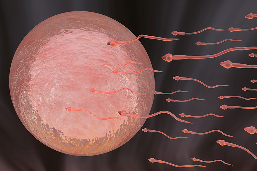 试管婴儿容易出现染色体异常？