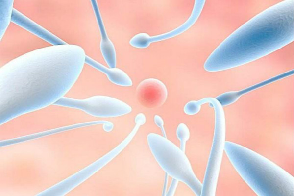 超促排卵方案及药物