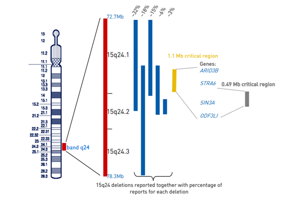 7149029e4c7ce6cc5cfdf51fd2c541d1.png 7149029e4c7ce6cc5cfdf51fd2c541d1.png