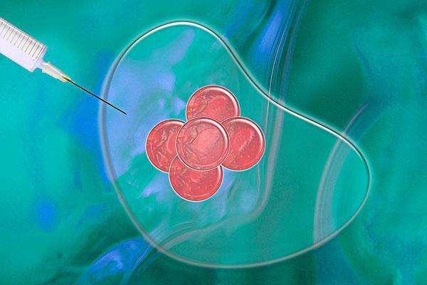 胚胎学家想让你知道的关于试管婴儿的5件事