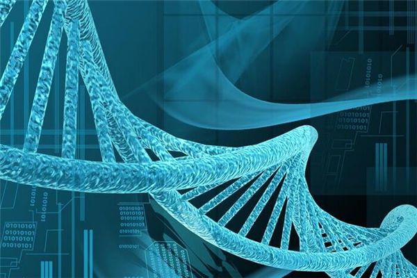 做试管婴儿时，取卵很多为什么都不受精？