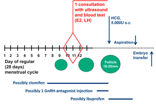 什么是自然周期试管婴儿治疗？和试管婴儿治疗方案有什么区别？